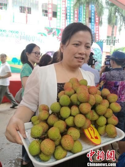 海口荔枝王高价拍卖问题解决策略